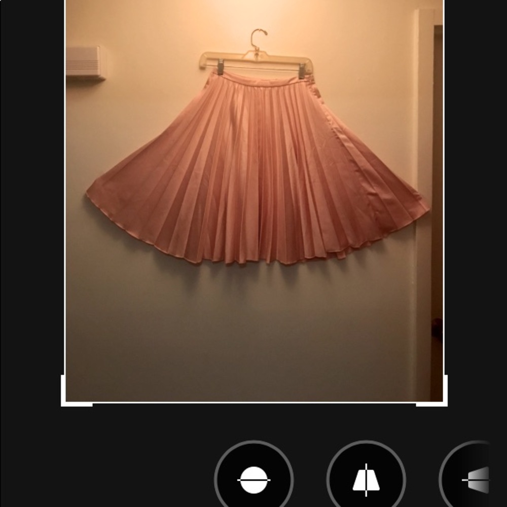 🔥SALE🔥 🦋Brand New🦋Accordion,Pleated pink skirt,size small.
